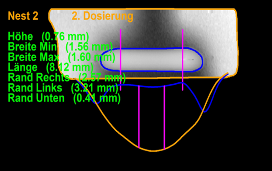 Vermessung einer Kleberaupe in 3D